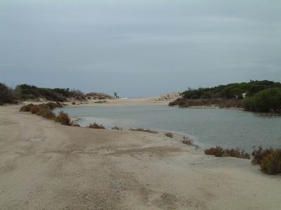DSCF0076.JPG